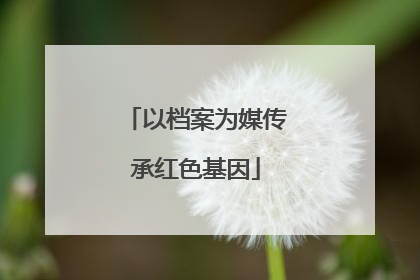 以档案为媒传承红色基因